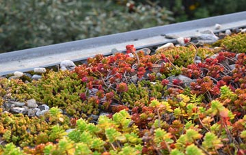 the cost of Droitwich green roof installation
