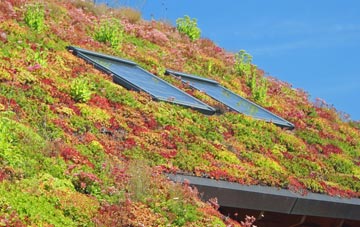 Droitwich living roof systems